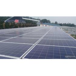 金鼎盛世 以服務至上的理念，引領太陽能發電行業新篇章